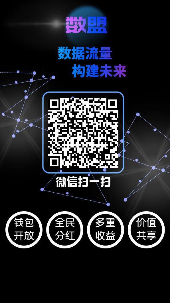 首码分红项目，新项目