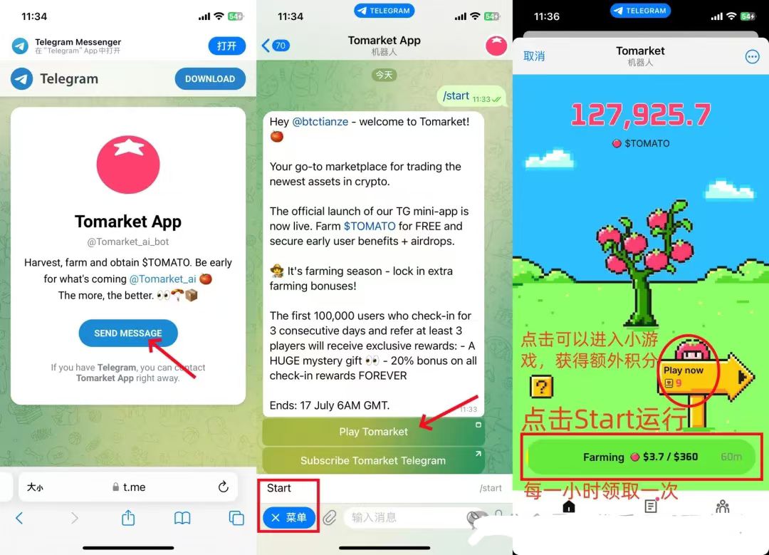TON生态Tomarke明牌kong投  Bitget、FocusX投资，重视！