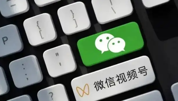 【新掌盟】外面有一个卖199块的V信视频号卦机项目，免费带，每天每个账号2-10元！