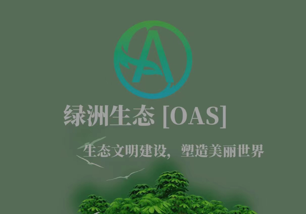 官方首码绿洲生态OAS，对接全网，无线代扶持拉满，对接团队长，玩的J我！