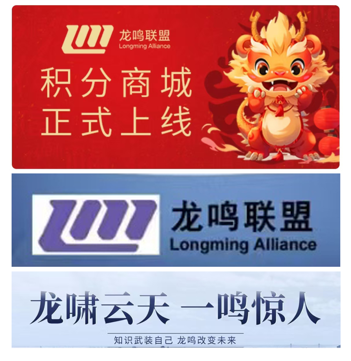 首码 龙鸣联盟 Dragon Roar   2024年8月5日积分商城正式上线，一起领跑未来。点开我的积分去赚积分，领取积分。