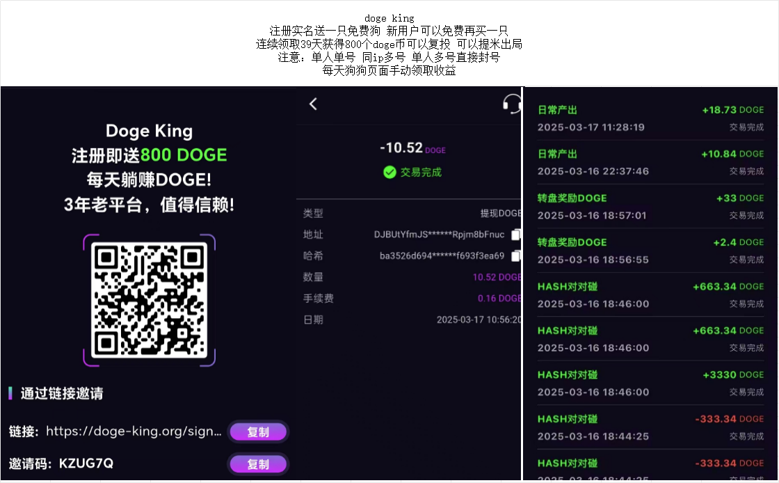 doge king零撸+复投赚狗b