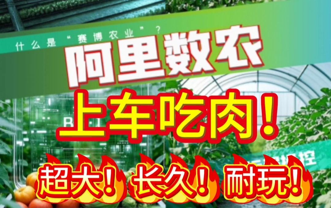 🔥数字农业项目🔥，上车早吃肉，更大，更长，更持久！