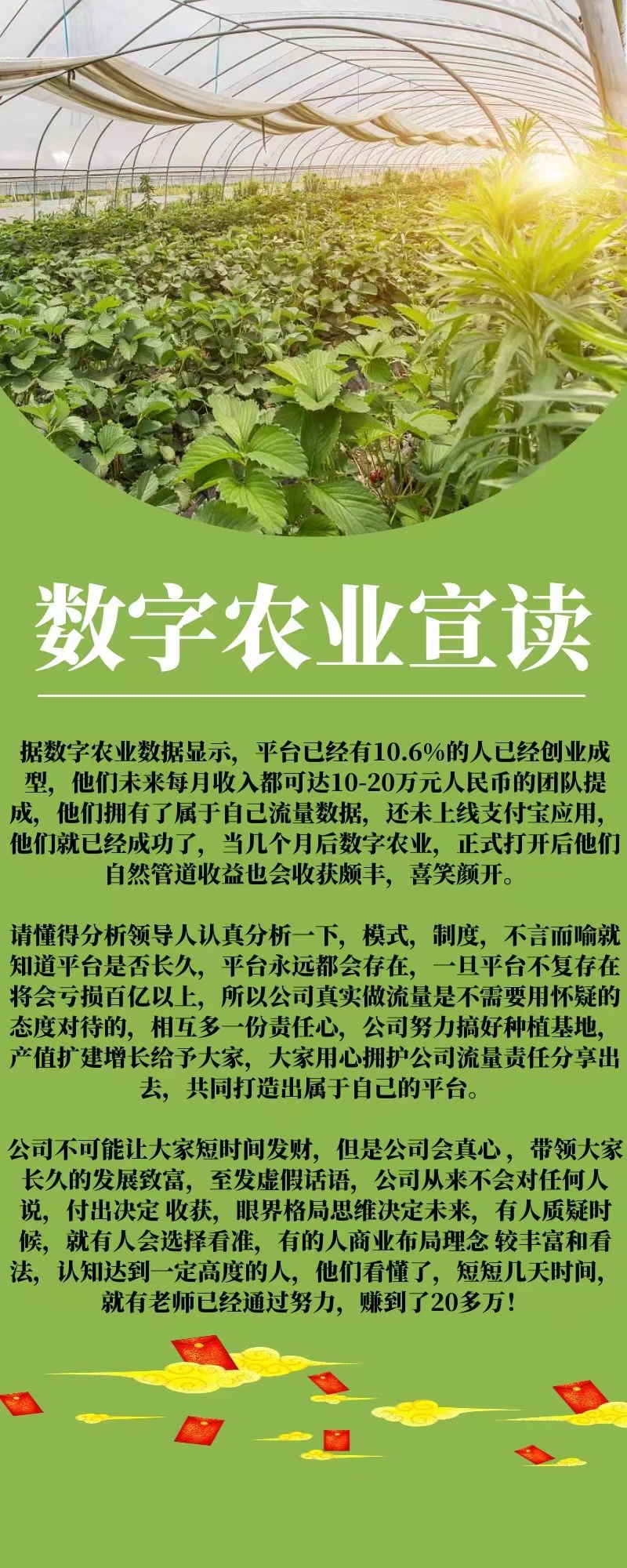 🔥**数农，上车吃肉！