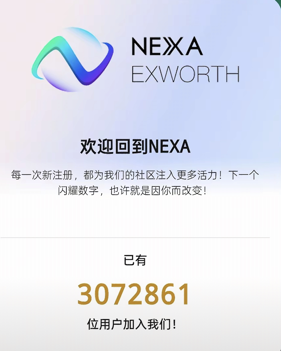 wbe3.0耐克森Nexim全球支*付