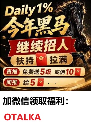 Daily1%玩法介绍