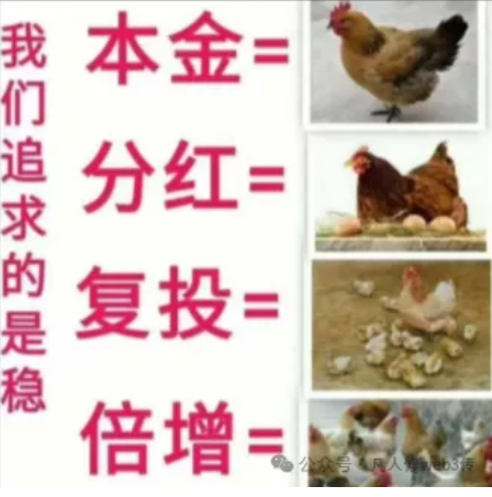 链游首码零撸MallEX国际电商购物一键领取，链门卷轴模式！